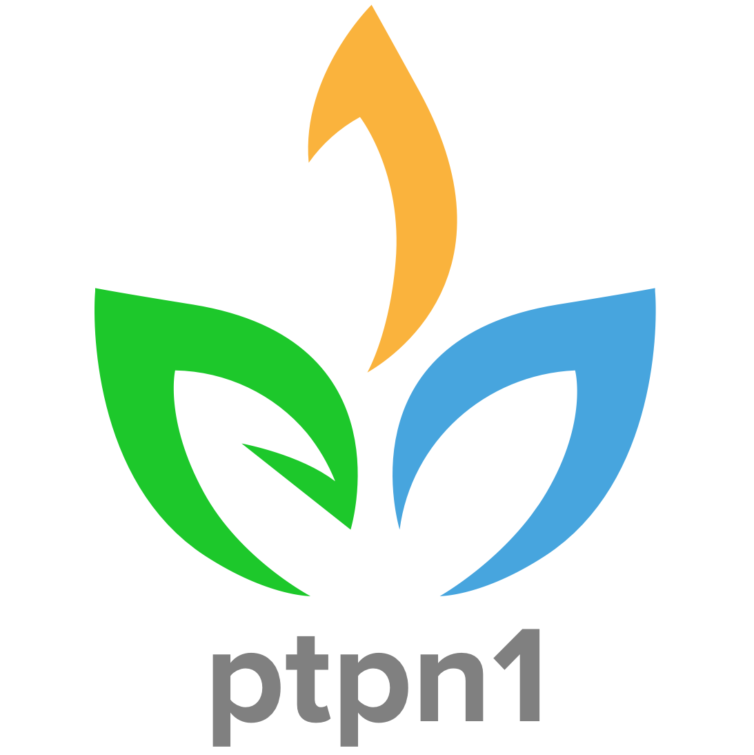 logo-ptpn1.2.5cb8803